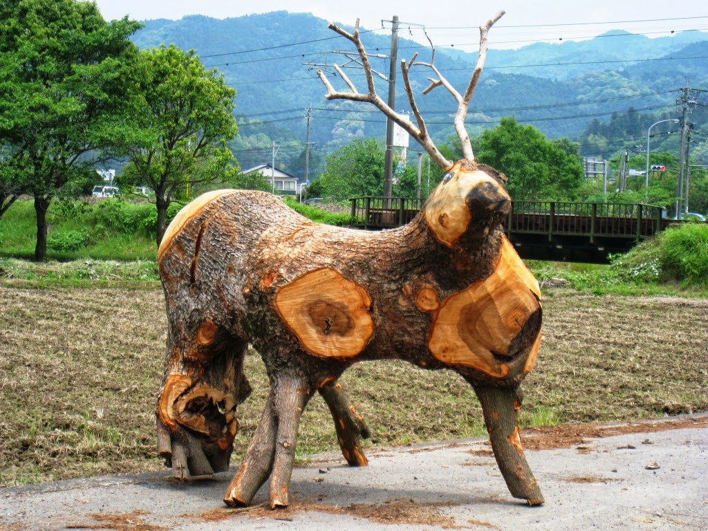 Life in Rural Japan: Wild animals