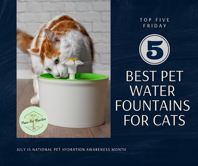 Top Five Friday Five fun pet water fountains for cats FridayFive