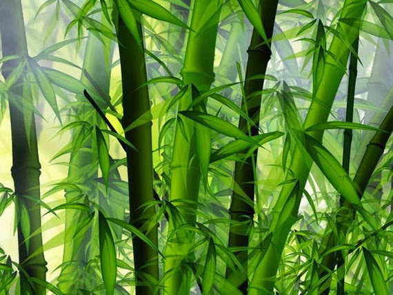  Bambu  Cimahi  Bandung Jawabarat