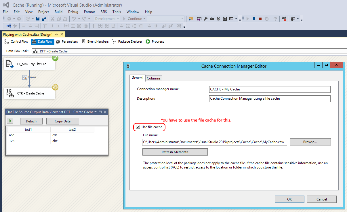 Raw File Reader Ssis