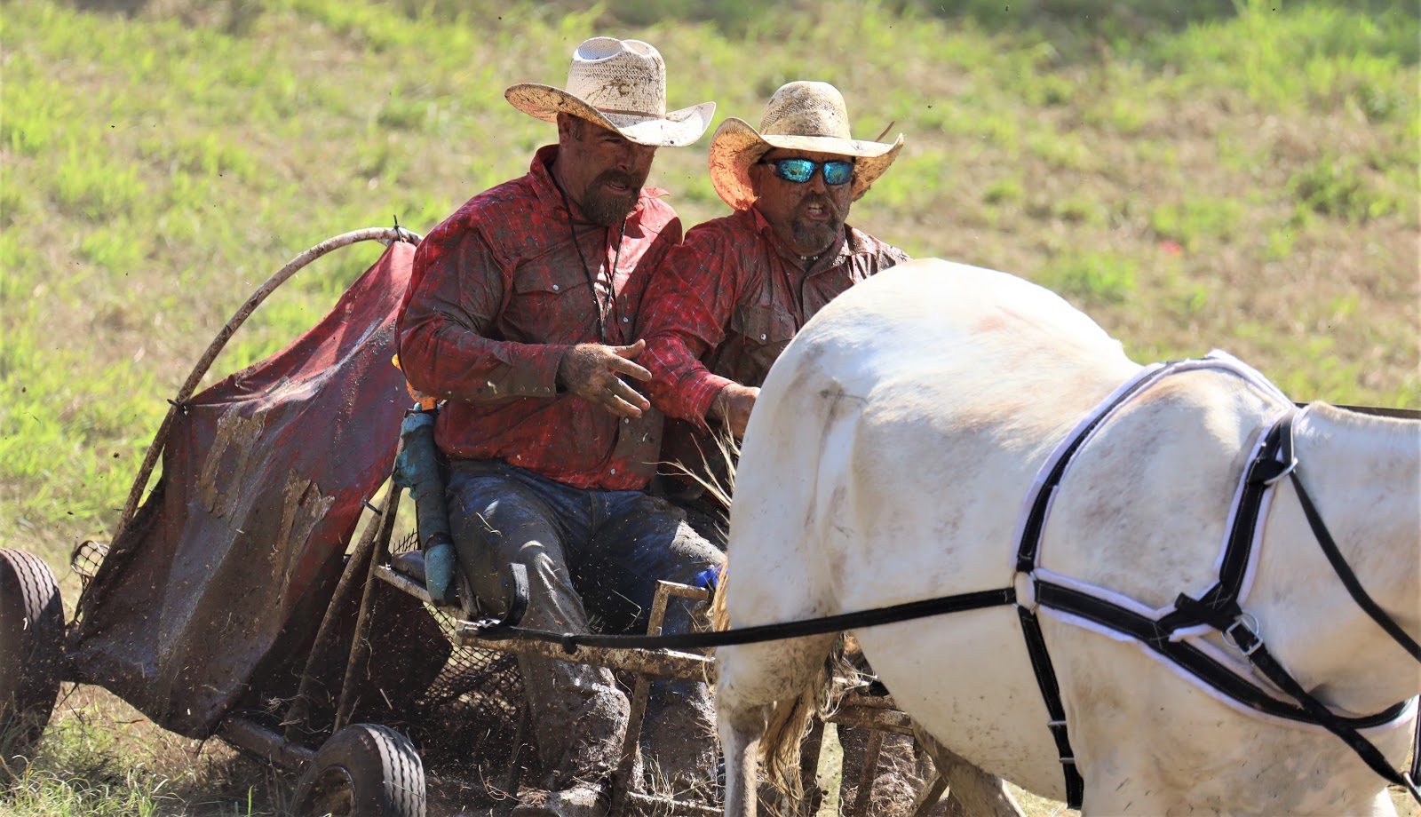 DENNIS WAYNE MORGAN PHOTOGRAPHY: Muddy Cowboys