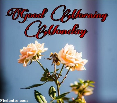 Good Morning Monday | 15+ Best Good Morning Monday Images Good Morning Monday | 15+ Best Good Morning Monday Images