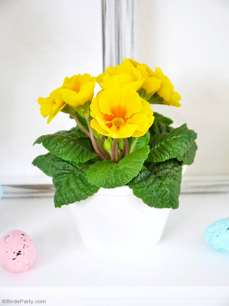 Easter Mantel Pastel Decor DIYs - easy craft projects, including a window frame and a wreath to decorate your home for spring and Easter! by BirdsParty.com @birdsparty #easter #mantel #psing #easterdecor #eastermantel #springdecor #springmantel #springwreath #springdiy #springcrafts #easterdiy #eastercrafts #easterwreath #diywindowframe #farmhousedecor #dolartreedecor #pasteleaster