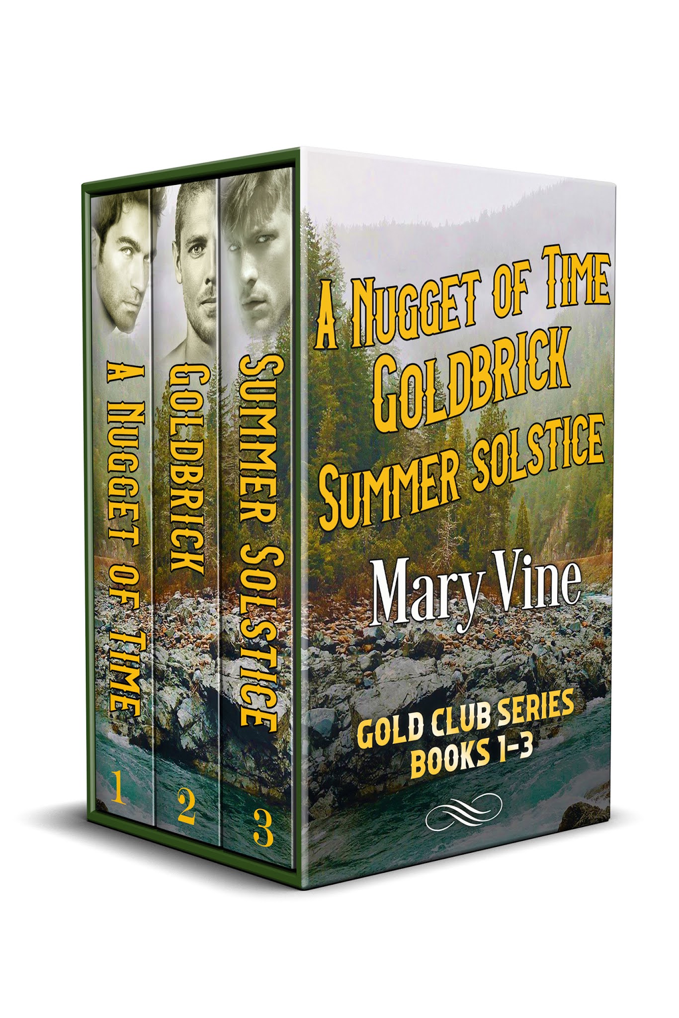 Author Mary Vine New Time Travel Box Set by Mary Vine
