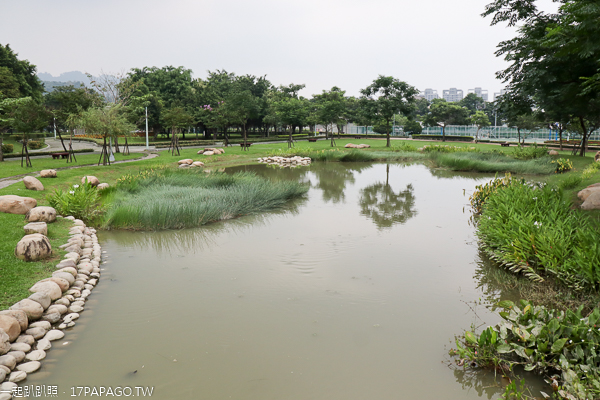 台中北屯|廍子公園|黃花風鈴木|滑板場|巨人腳印公園|綠籬迷宮|生態池|拱橋 台中北屯|廍子公園|黃花風鈴木|滑板場|巨人腳印公園|綠籬迷宮|生態池|拱橋