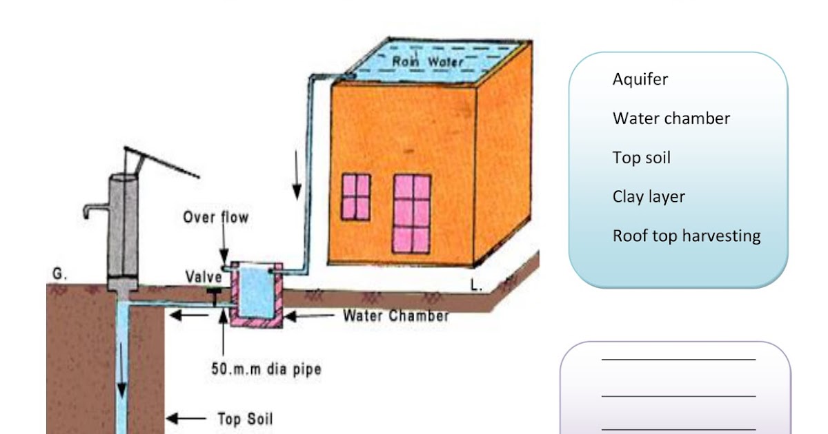worksheets Arrange The Steps Of Rainwater Harvesting