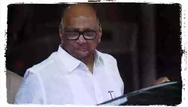 Eminent personalities meet Sharad Pawar at his residence, before opposition meeting Sharad Pawar