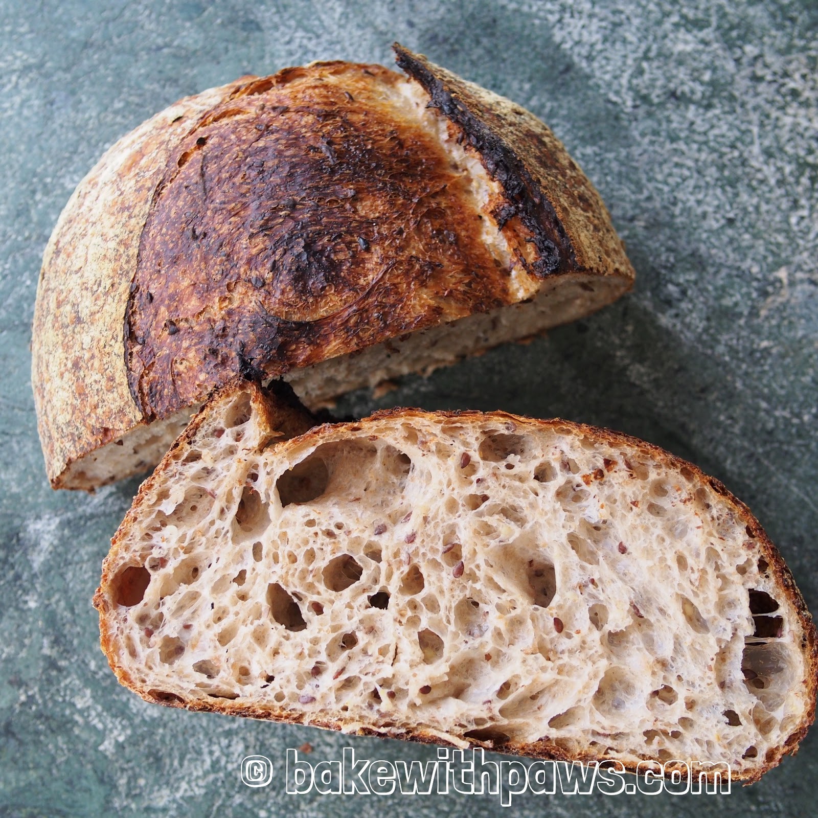 Multigrain Open Crumb Sourdough Bread BAKE WITH PAWS
