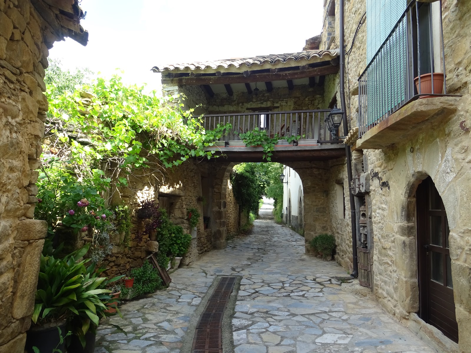 ARTÍCULOS, RESEÑAS LITERARIAS Y EXCURSIONES Carlos Bravo Suárez