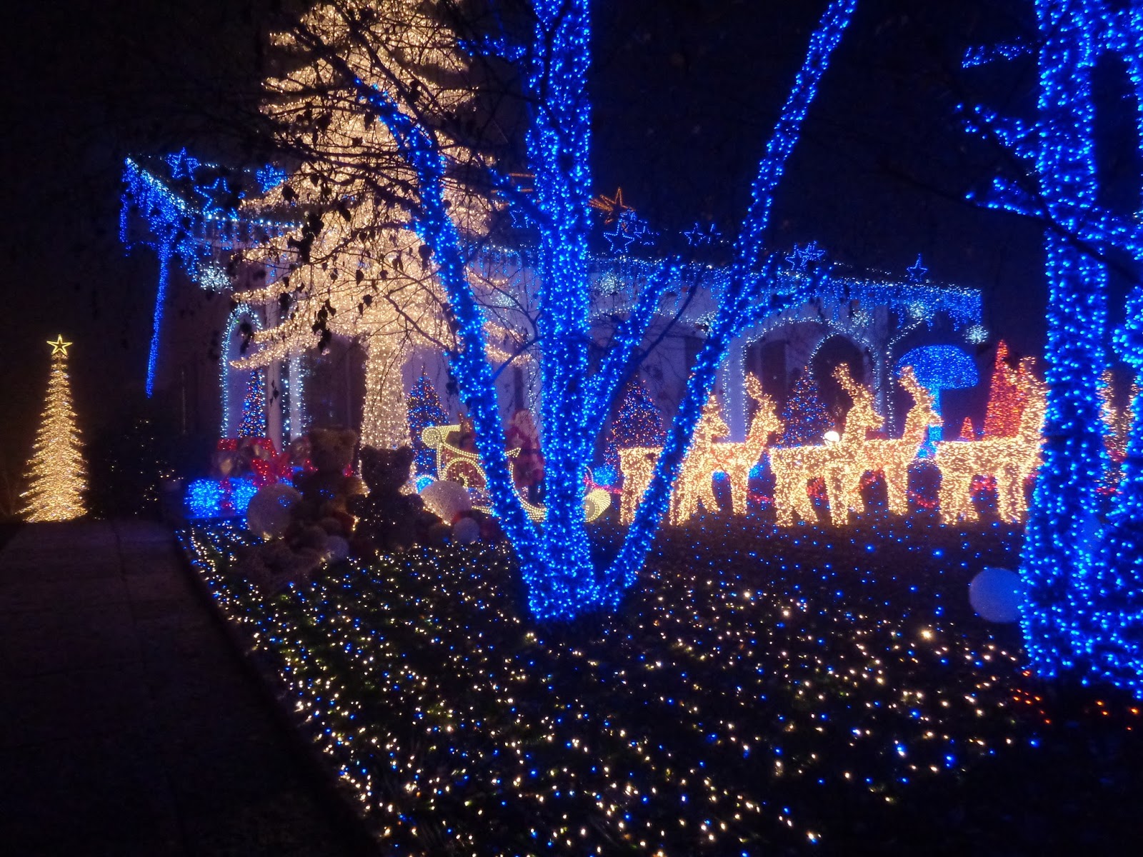 Immagini Natalizie In Movimento.Immagini In Movimento Di Natale