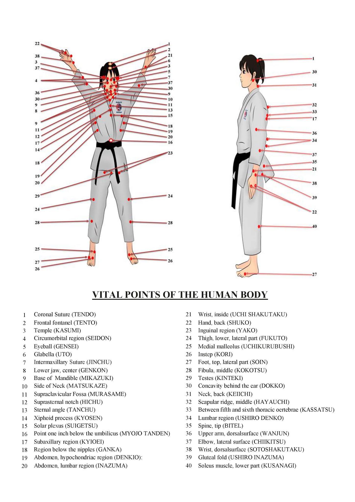 Pressure and Vital Points of the Human Body