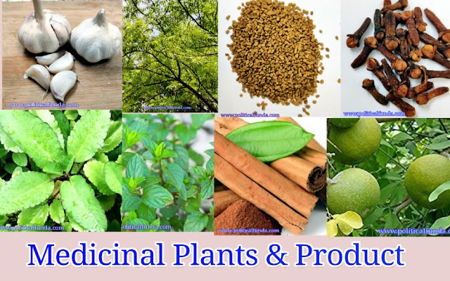 Medicinal Plants | 15 Best Medicinal Plants & their Benefits