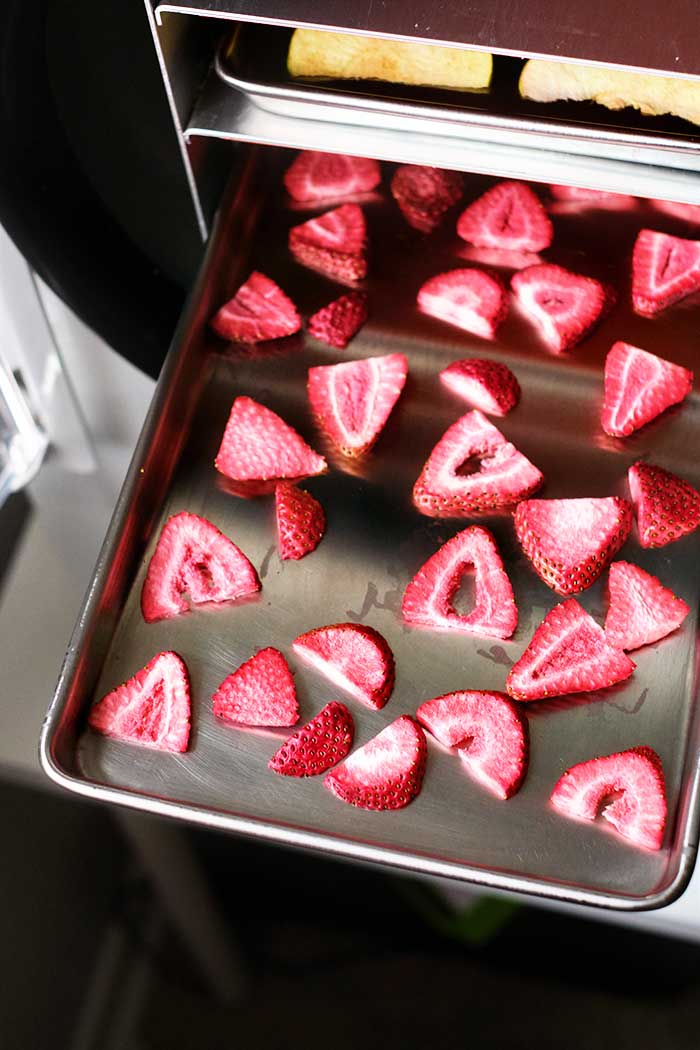 How to Make Freeze Dried Fruit at Home Homesteading in Ohio