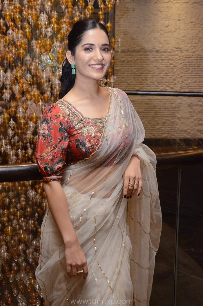 Telugu Actress Ruhani Sharma transparent saree stills