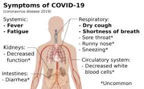 26-points-about-the-novel-coronavirus-pneumonia