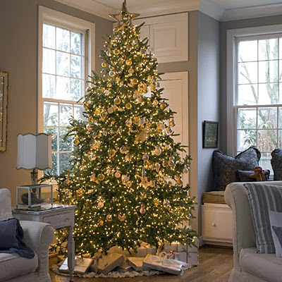 Christmas Tree Decorating Ideas: Tips the season for decorating ...