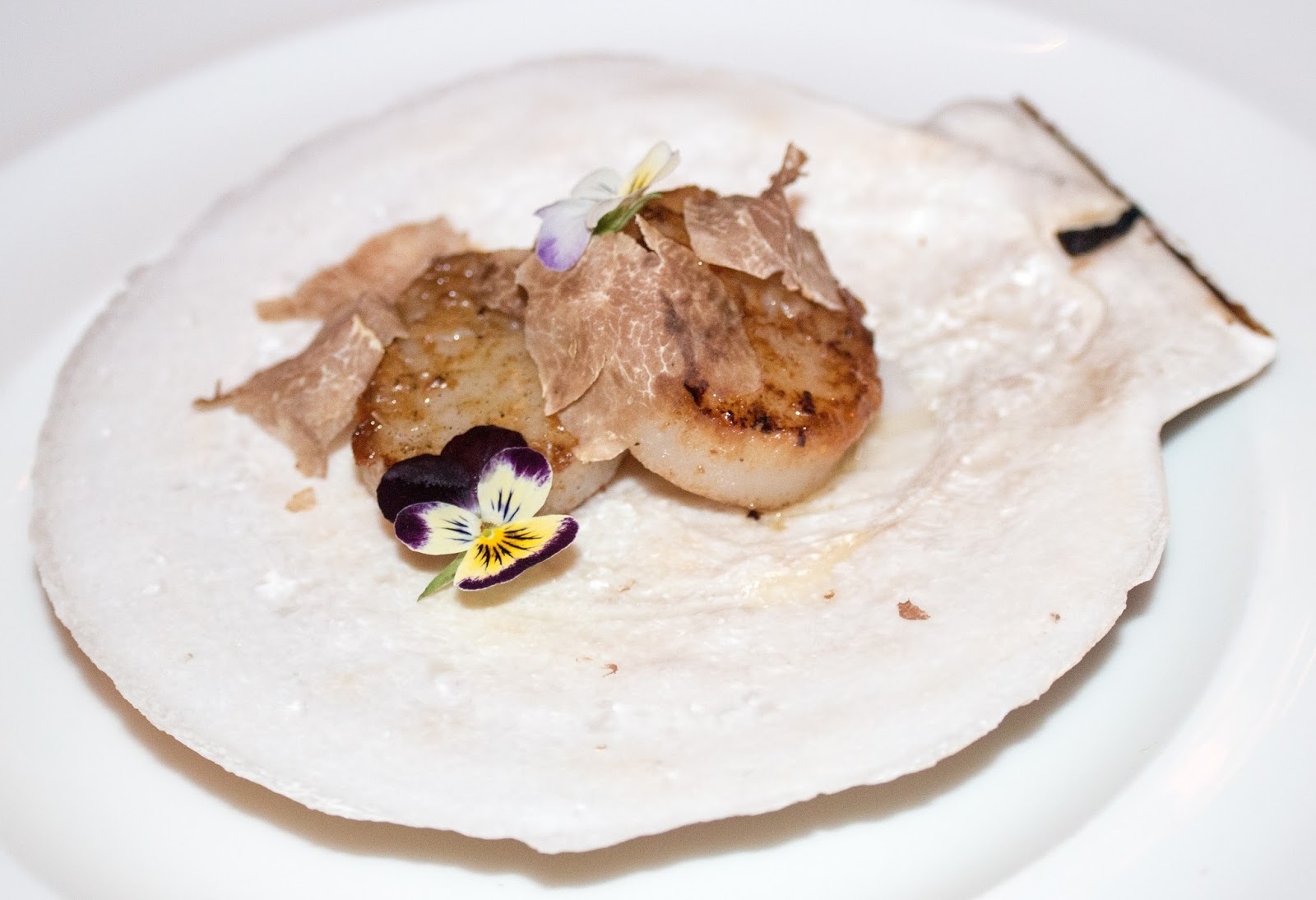 Belly of the Pig Fine Palate Review