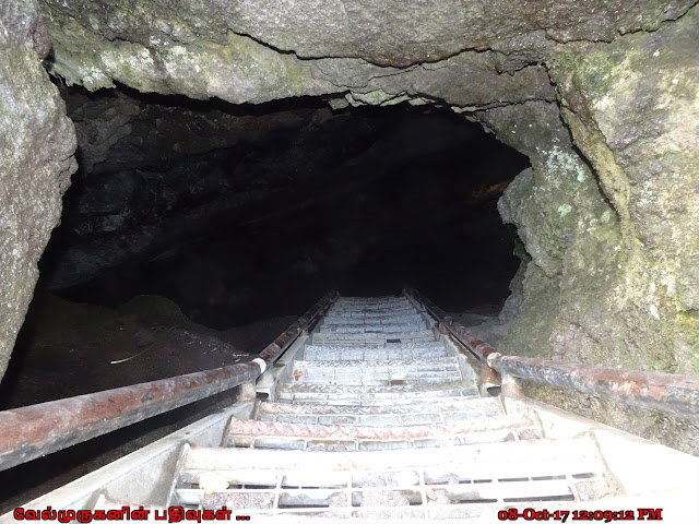 Mount St. Helens Ape Caves Hike