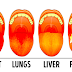 Based On The Color Of Your Tongue It Can Indicate Your Health Condition Too