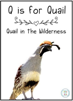 https://www.biblefunforkids.com/2022/02/quail-in-wilderness.html