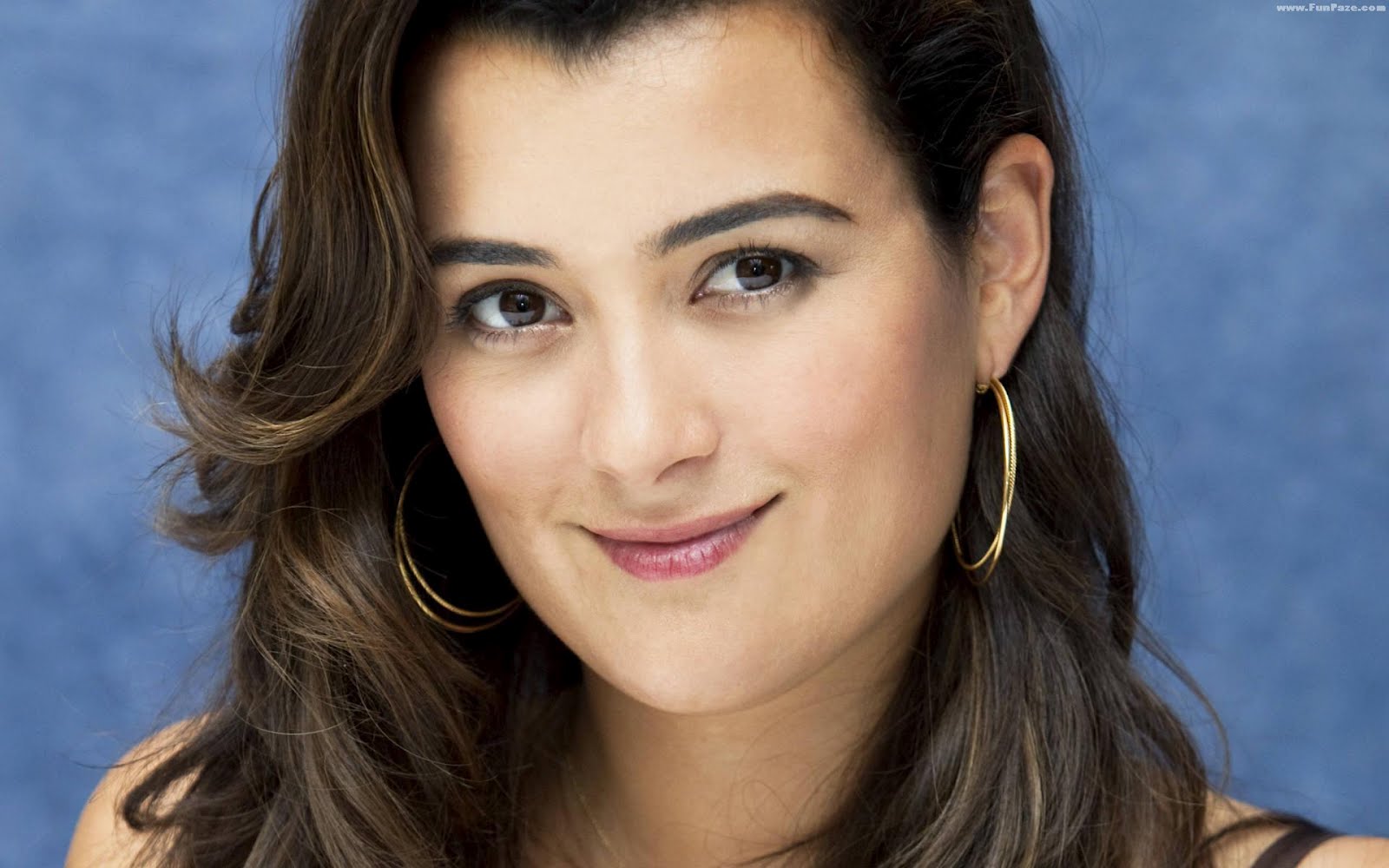 Cote de Pablo HD Wallpapers ~ HD Wallpapers