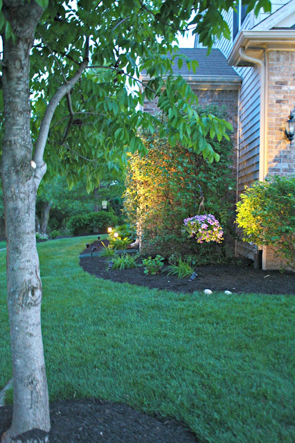 DIY landscape lighting