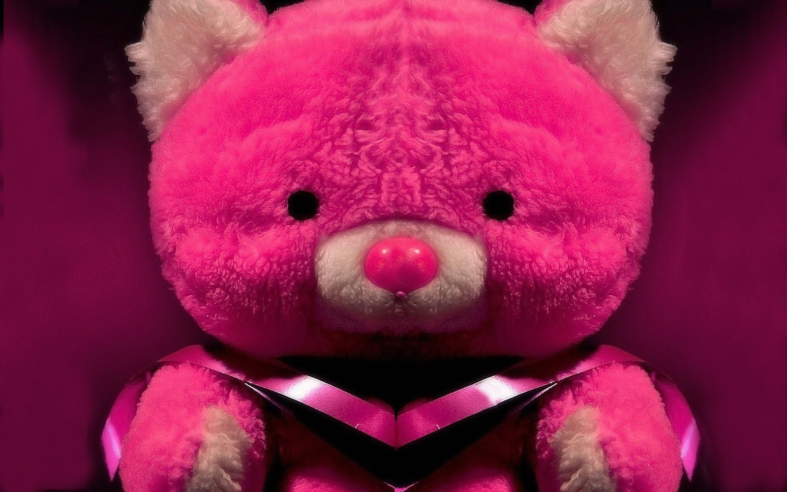 Lovely And Beautiful Teddy Bear Wallpapers ~ Allfreshwallpaper