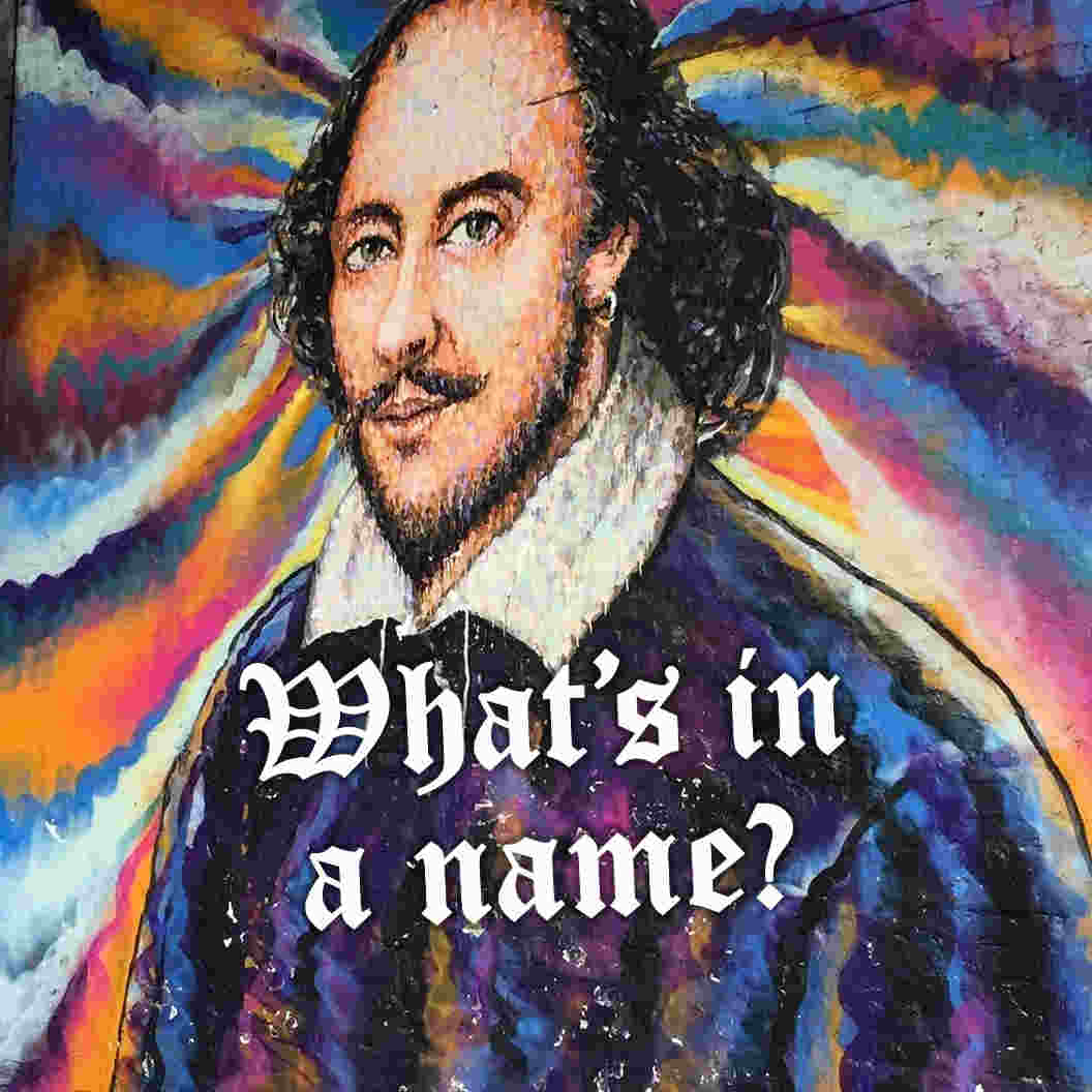 what is in a name william shakespeare vedang sati