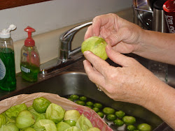 canning tomatillo pressure tomatillos salsa peeling making sticky soaking husk residue helps remove covers then water