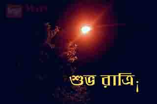 Bangla Good Night Image, Good Night Shayari image