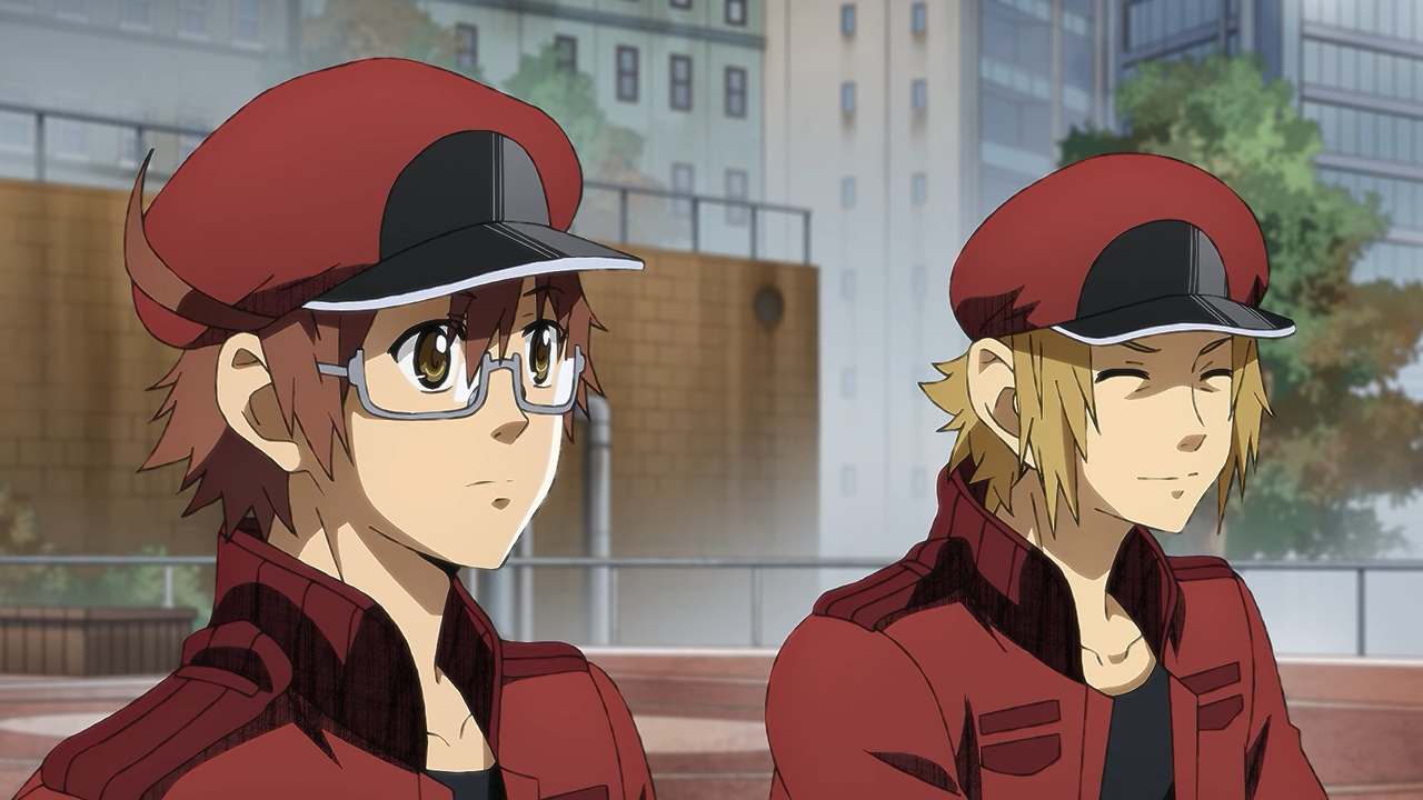 Cells at Work! Code Black (Anime Review)