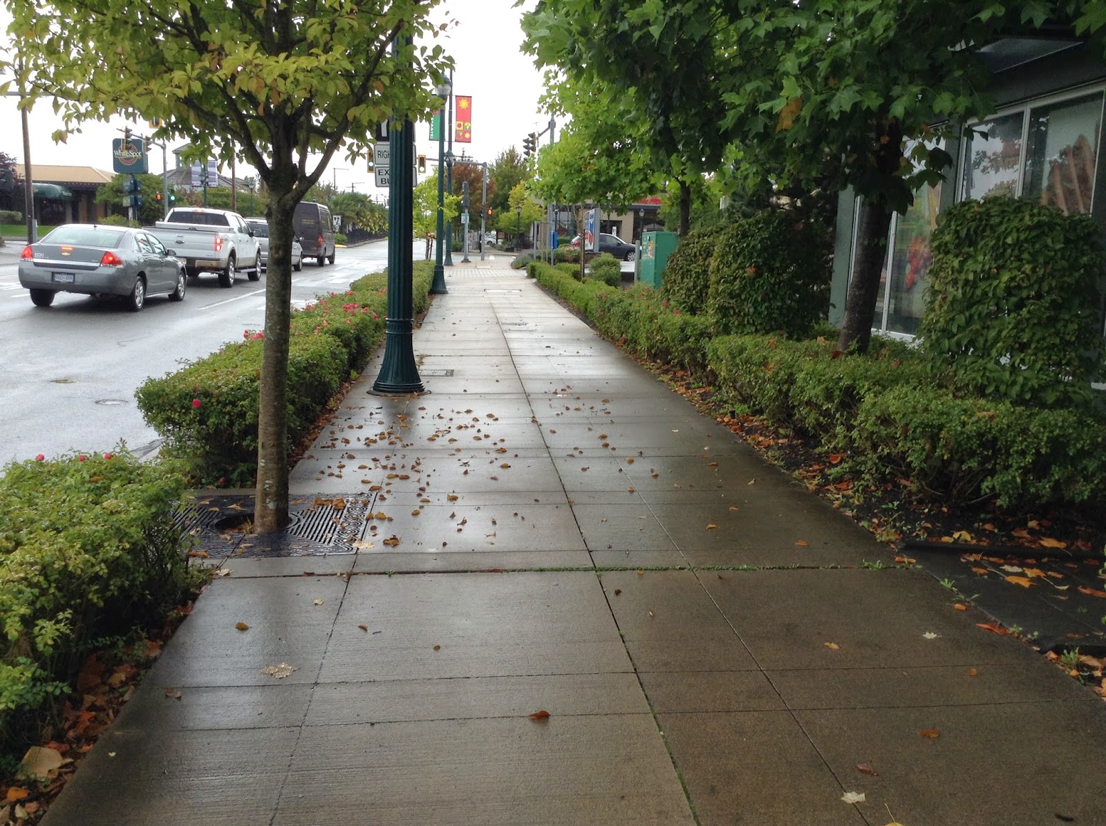 The South Fraser Blog My Tsawwassen Walking Tour