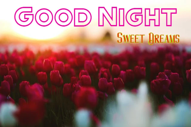Good Night HD Images Collection