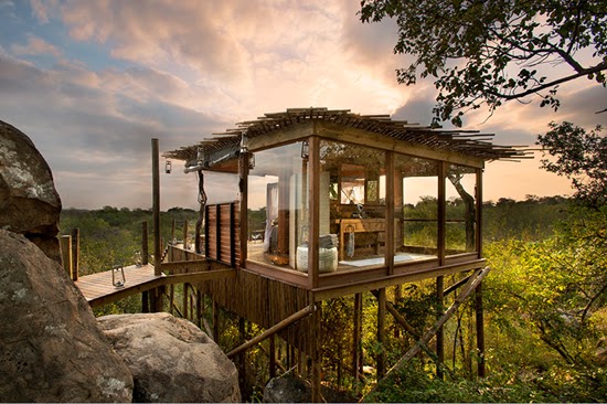 Safari Fusion blog | African treehouses | Stylish tree lodgings at Lion Sands Kingston Treehouse, South Africa