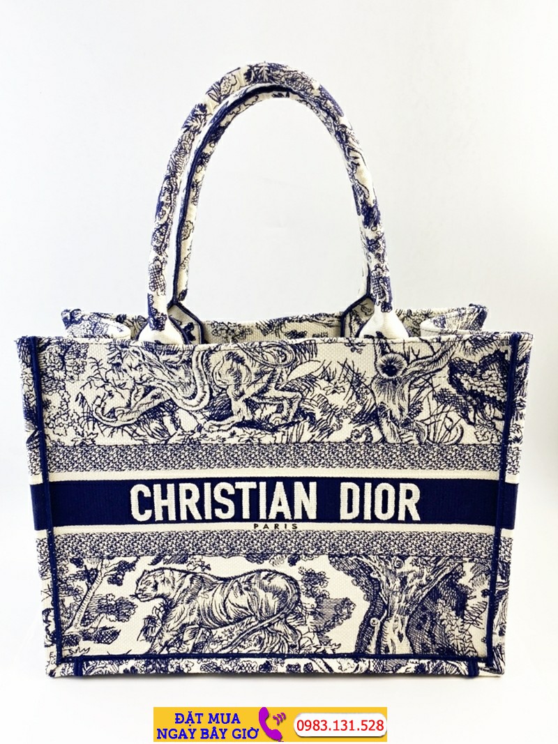 Chiếc túi Tote Dior luôn là sự lựa chọn tuyệt vời dành cho các quý cô công  sở  ELLY