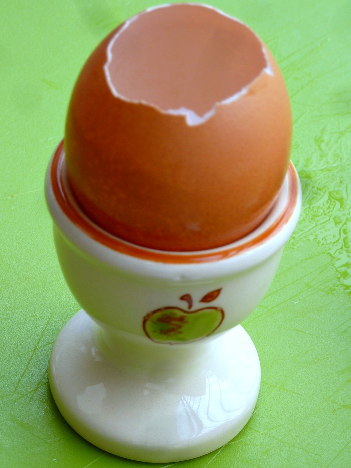 How to Plant Seeds in Eggshells Start a Mini Garden AppleGreen Cottage
