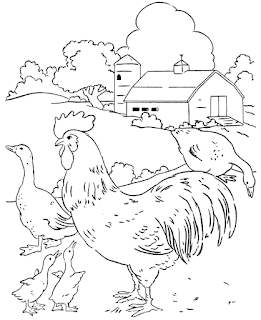 Coloring Pages For Animals: 2015