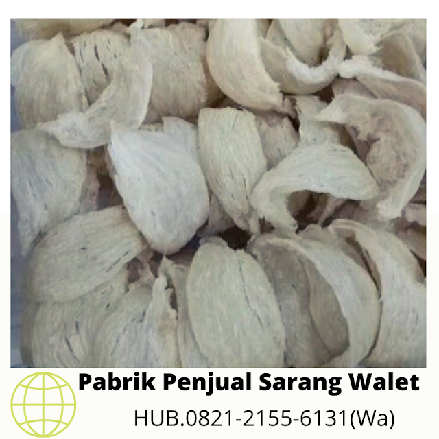 Sarang Walet Yg Baik