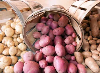 Potatoes grown in Africa soil.