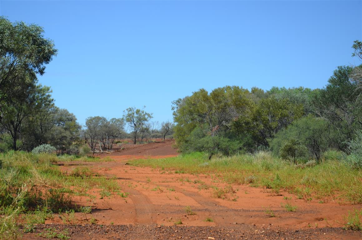 Australien 2013 Mt. AugustusTom Price
