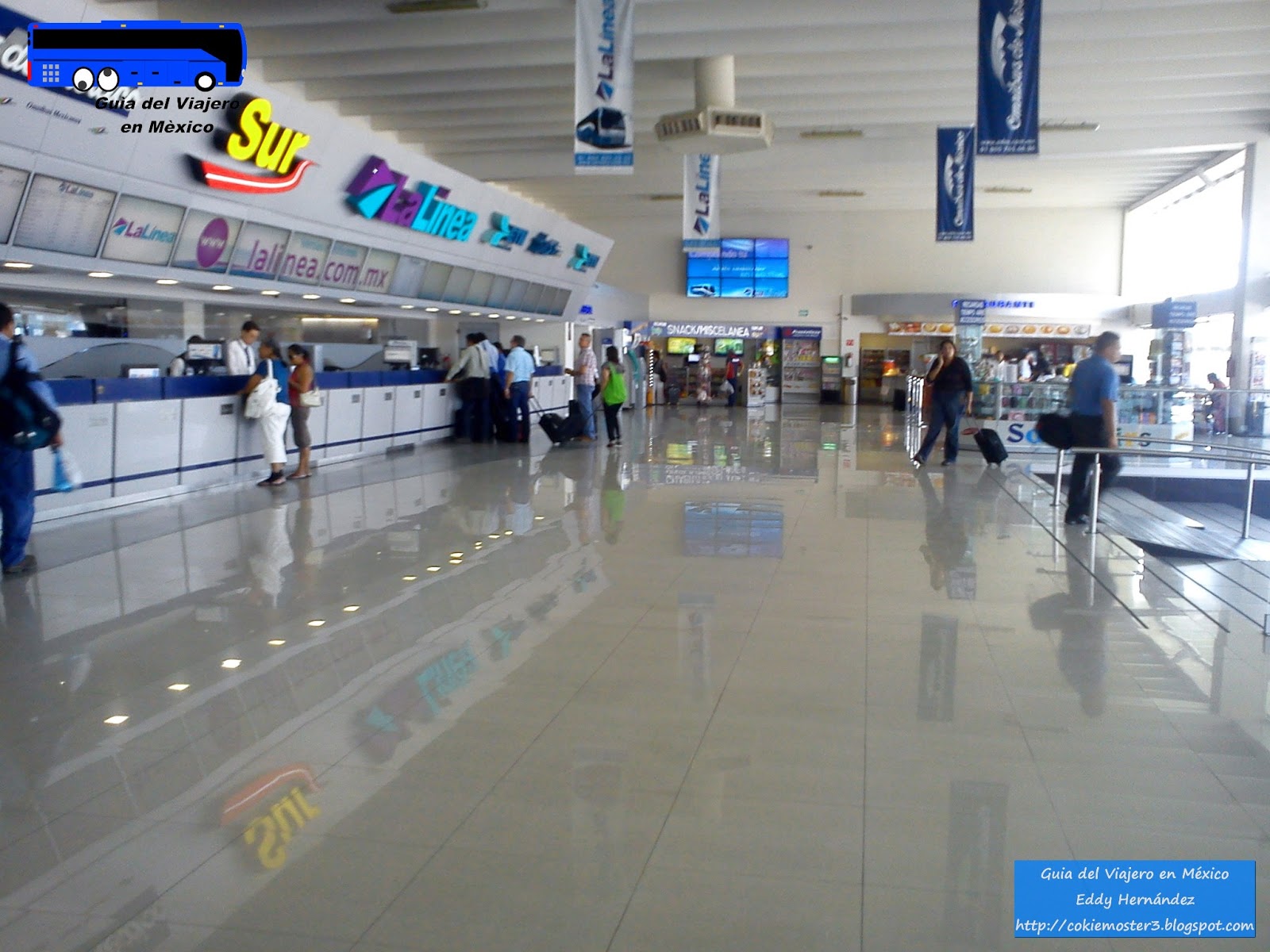 Como usar la terminal Nueva de Guadalajara Como usar la terminal Nueva de Guadalajara