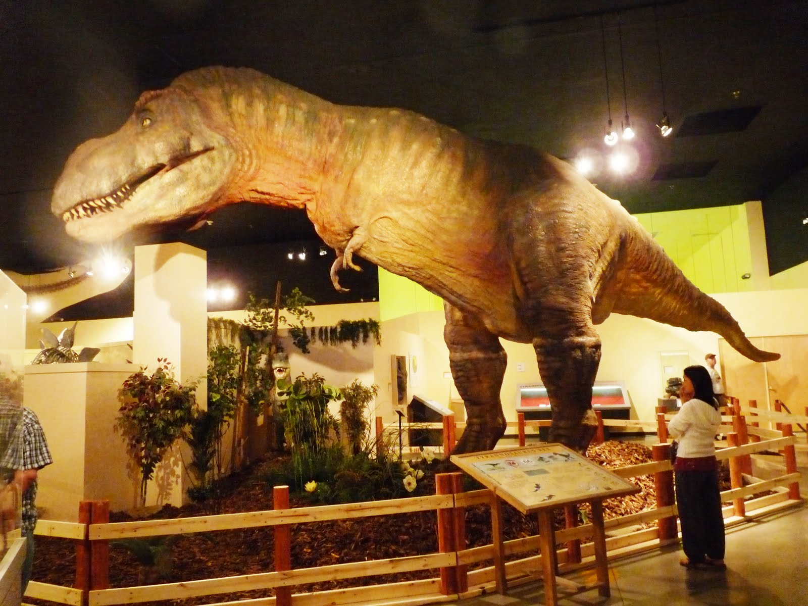 dinosaur museum co