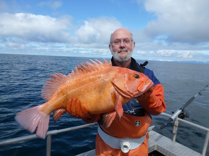 Морской окунь в море Морской окунь в море