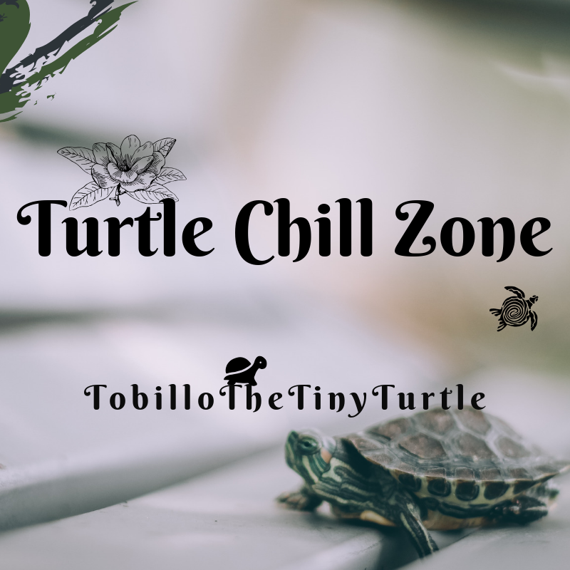 Turtle Chill Zone