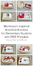 Montessori-inspired Arachnid Activities for Elementary Students with FREE Printable