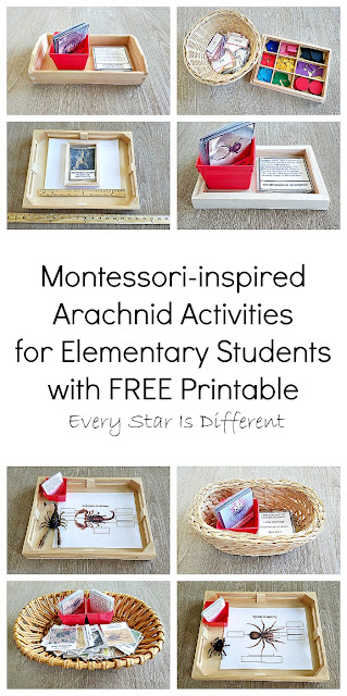 Montessori-inspired Arachnid Activities for Elementary Students with FREE Printable