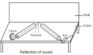case study question on sound class 9