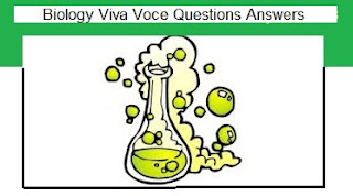 Biotechnology and its Applications - CBSE Value Based Sample Questions