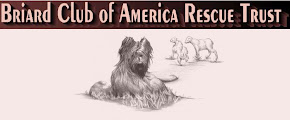 Briard Rescue Trust