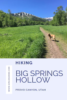 Hiking the Big Springs Hollow Trail